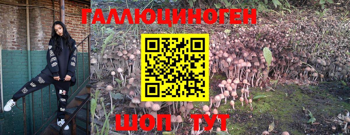 Псилоцибиновые грибы ЛСД Новоуральск
