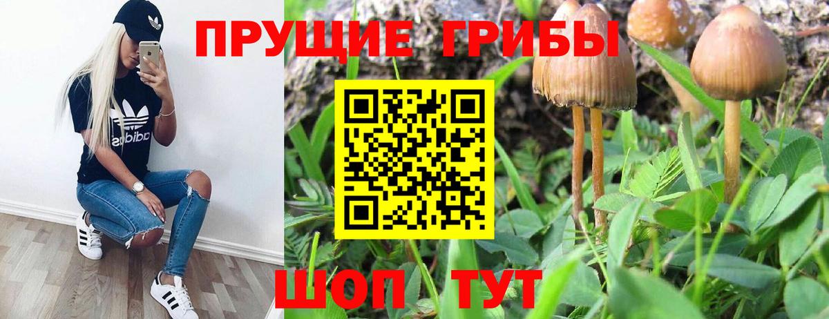 Псилоцибиновые грибы MAGIC MUSHROOMS  Псилоцибиновые грибы Psilocybine cubensis  Новоуральск  Вход с VPN 